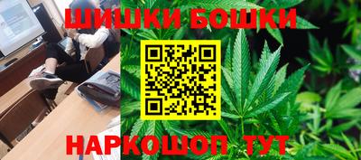 шишки Бердск