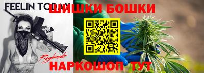 шишки Бердск